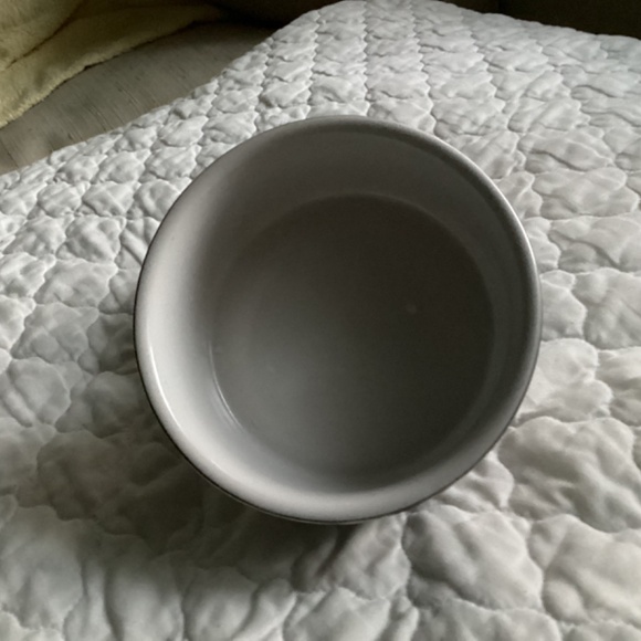 SET OF 2 SILVER CHROME CERAMIC PET BOWLS - Picture 6 of 8